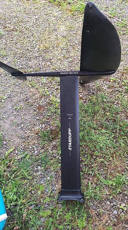 Tavole da surf e di nuoto: Gebrauchtes Board mit  Carbon Foil 2025 – Usato da Brunnen venduto da Tomi25 2