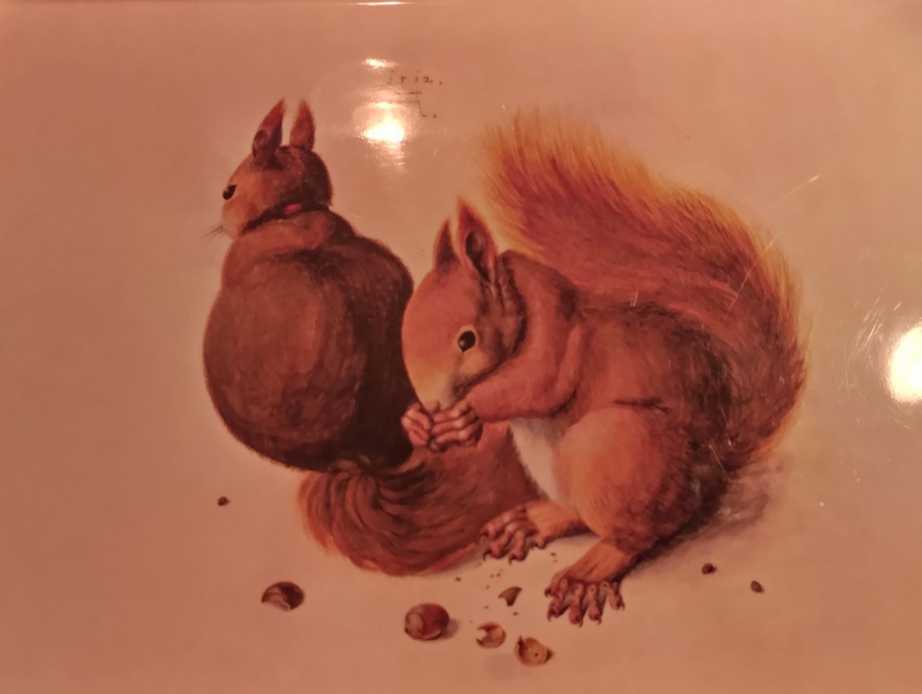 Servierplatten: Serviertableau, Eichhörnchen von Albrecht Dürer – Gebraucht aus Bellach von JingleCherry 2
