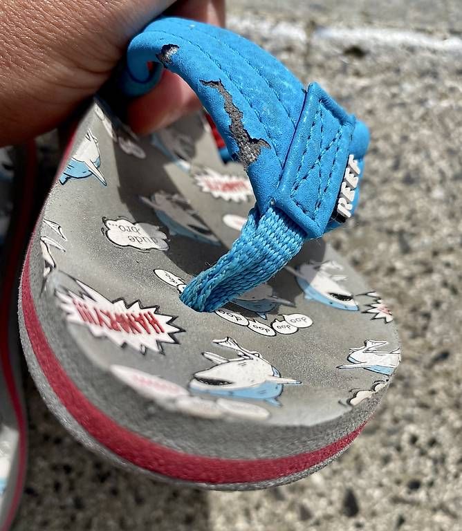 Scarpe per ragazzi: Reef Flipflop Gr 23/24 – Usato da Kesswil venduto da canvas12 3