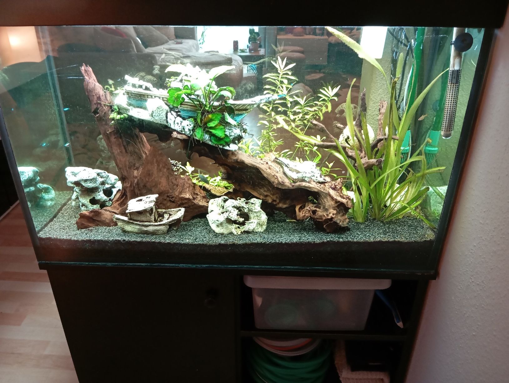Acquari: Juwel Aquarium Rio180 – Usato da Stallikon venduto da Sweetie_1 1