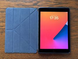 9.7" iPad Pro 1st Gen