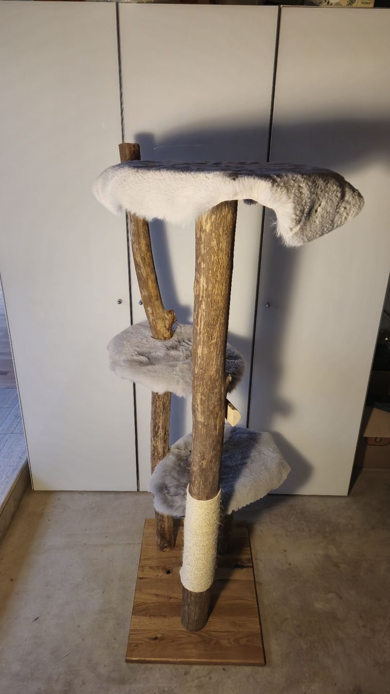 Tiragraffi: Natur Katzenbaum/ Kratzbaum – Nuovo e nell'imballaggio originale da Appenzell Meister. venduto da Morize98 2