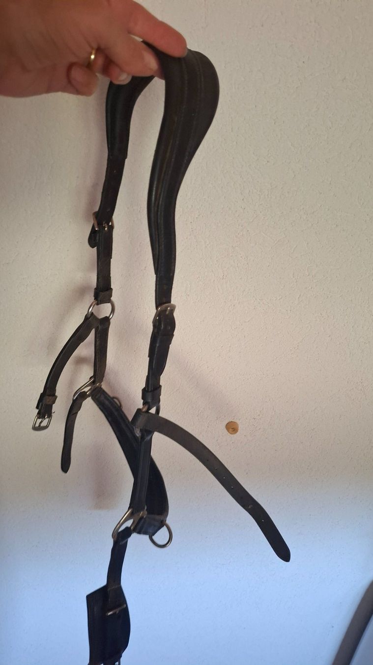 Brides, licols: Kappzaum Pony/Isländer – D'occasion à Hornussen par Mwie1