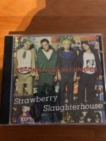 Teenage Torturechamber: Strawberry Slaughterhouse