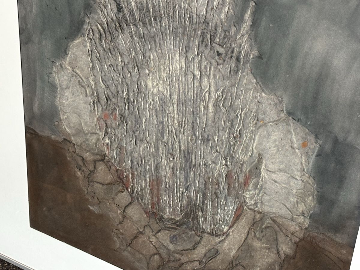 Poster & Bilder: Collagen Mischwerk Sammlung Adel Neithardt  – Gebraucht aus Ramsei von Fleuri13 8