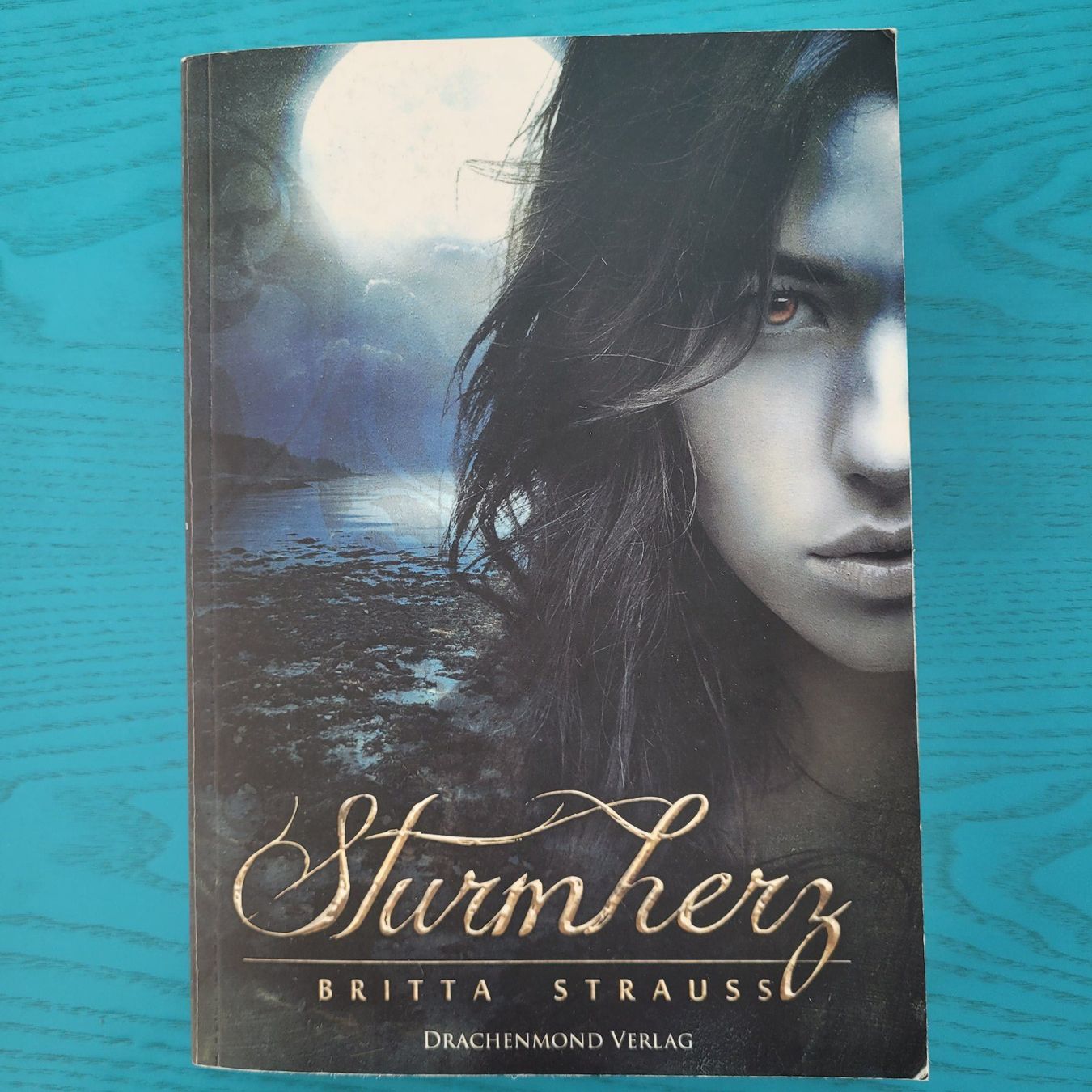 Livres: Britta Strauss- Sturmherz / Fantasy – D'occasion à SCHÜBELBACH par CoKaHa
