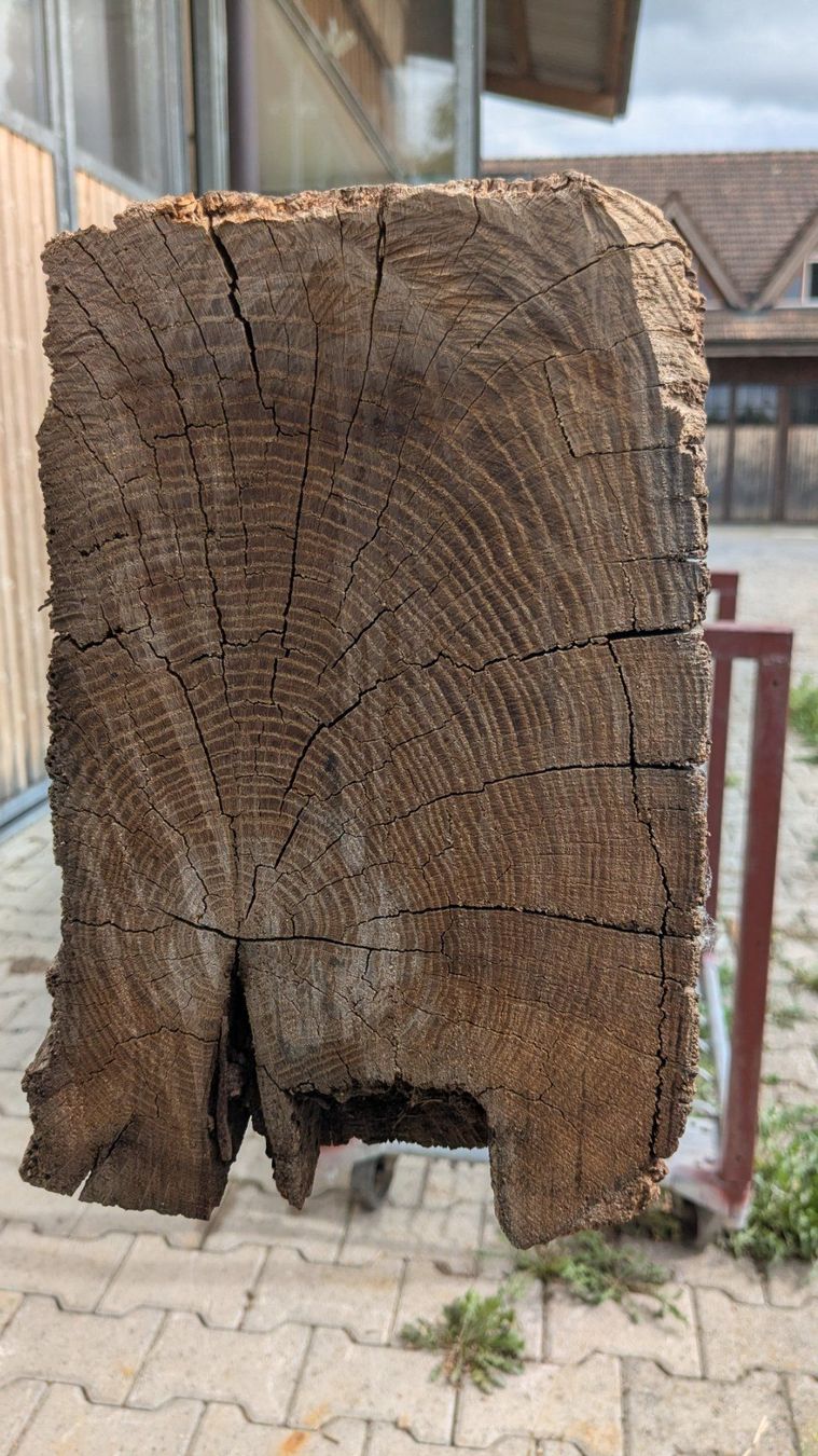 Articoli in legno: Altholzbalken Eiche ca. 200jährig – Usato da Uster venduto da pfister015 7