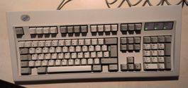 IBM Model M 71G4643 (Rubber Domes)
