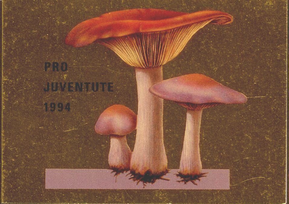 Tutti i francobolli: 1994 Pro Juventute MH ES KW 20.- – Usato da Eggersriet venduto da stamp303