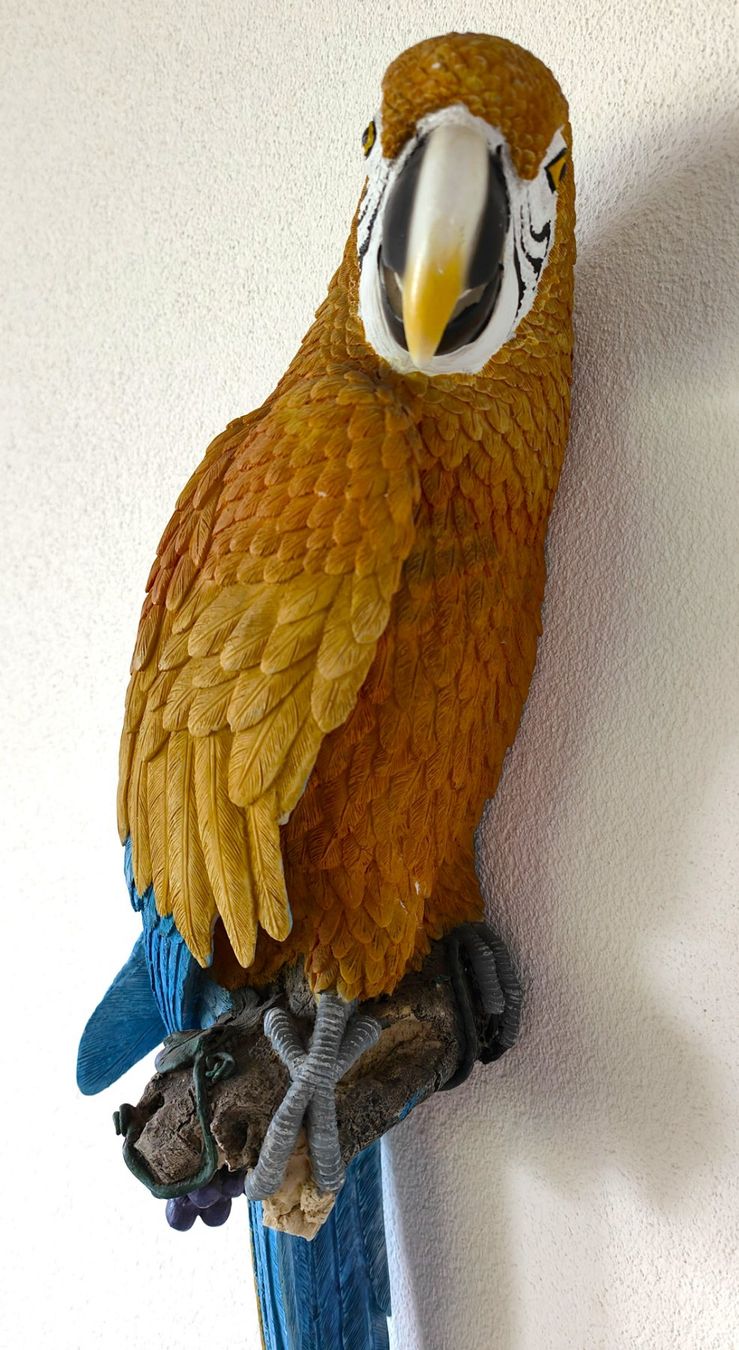 Statuette: Papagei / Deko / gross / 74 cm lang – Usato da Lachen SZ venduto da PizBuin35 2