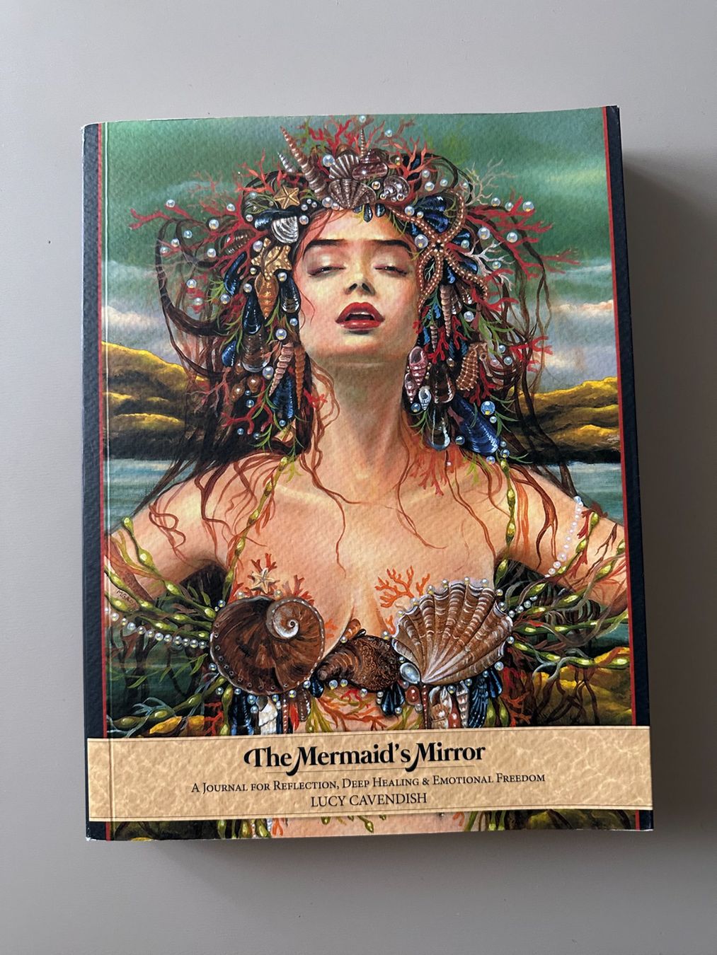 Bücher: The Mermaid's Mirror: A Journal for Reflection, Deep Healing – Neu (gemäss Beschreibung) aus Zürich von giga82