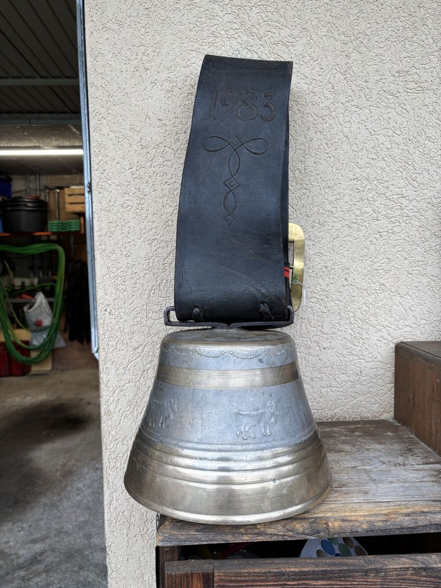 Campanacci mucche: Glocke Barinotto 1983 – Usato da Schangnau venduto da Roseggli82 3