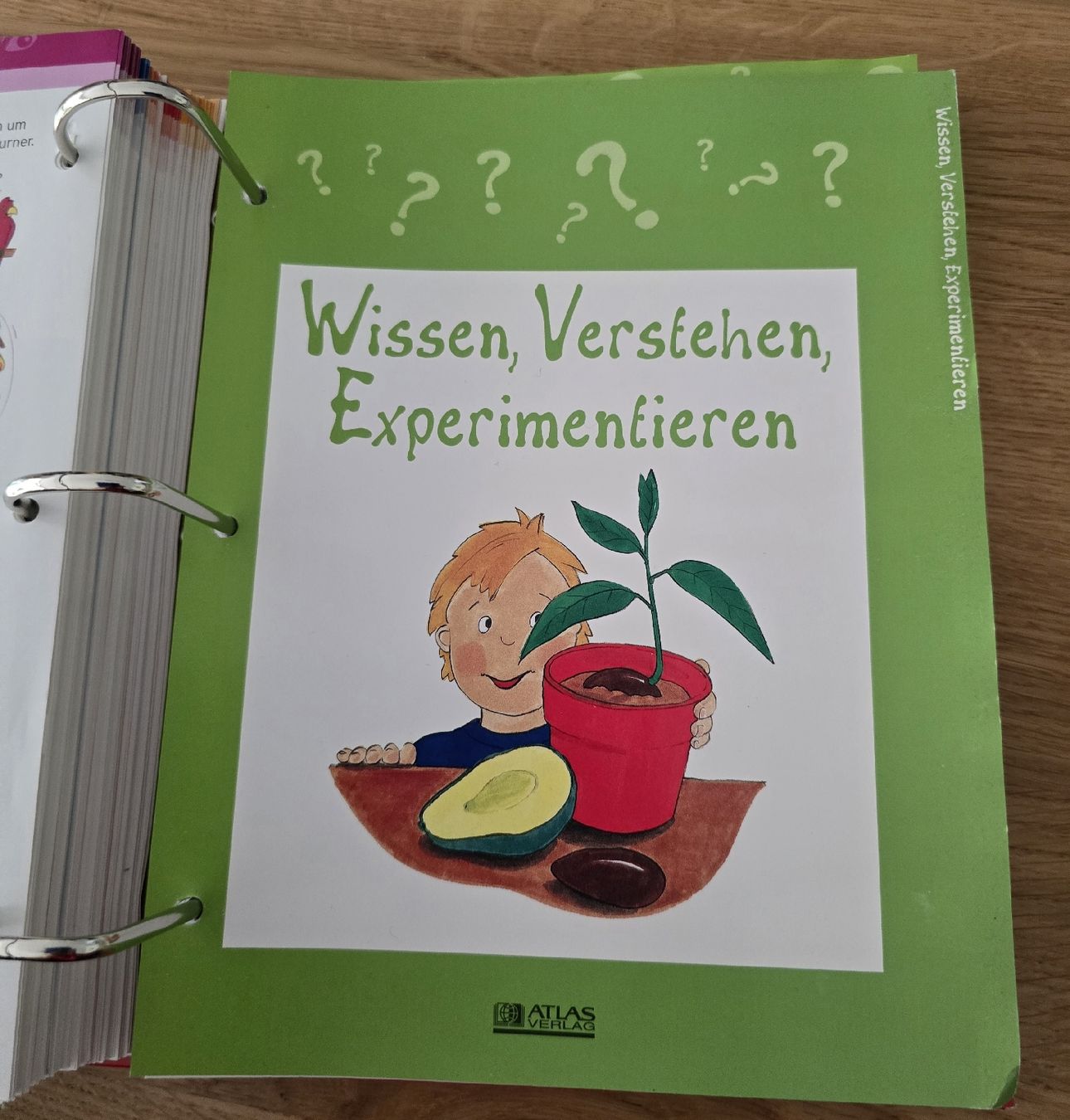 Libri: Bastel- und Freizeitideen – Usato da Geroldswil venduto da Churla 5