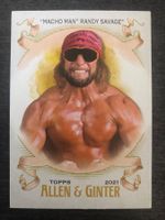 Topps WWE Allen & Ginter Randy Savage