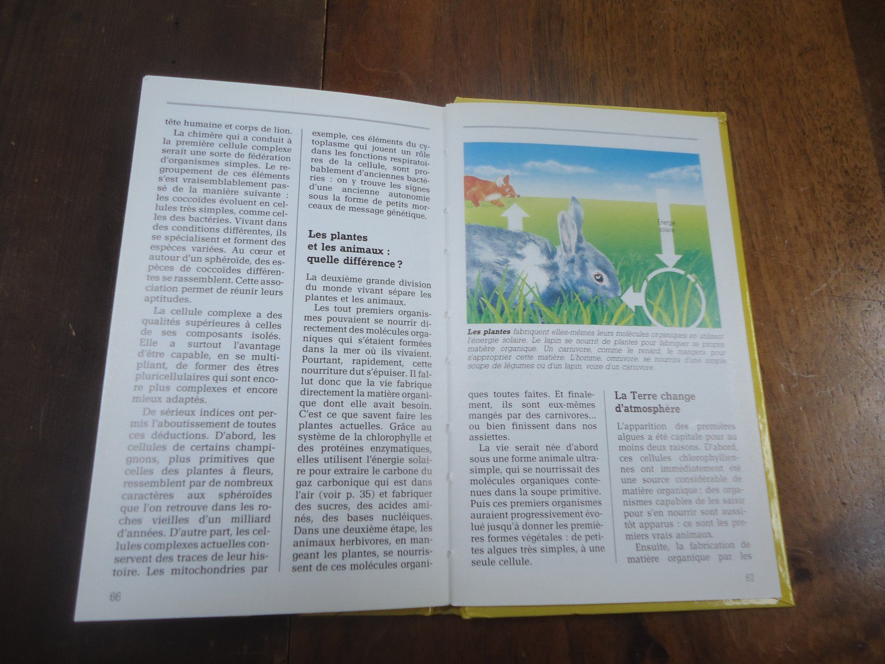 Libri: Aux origines de la vie – Usato da Vessy venduto da mafabe 2