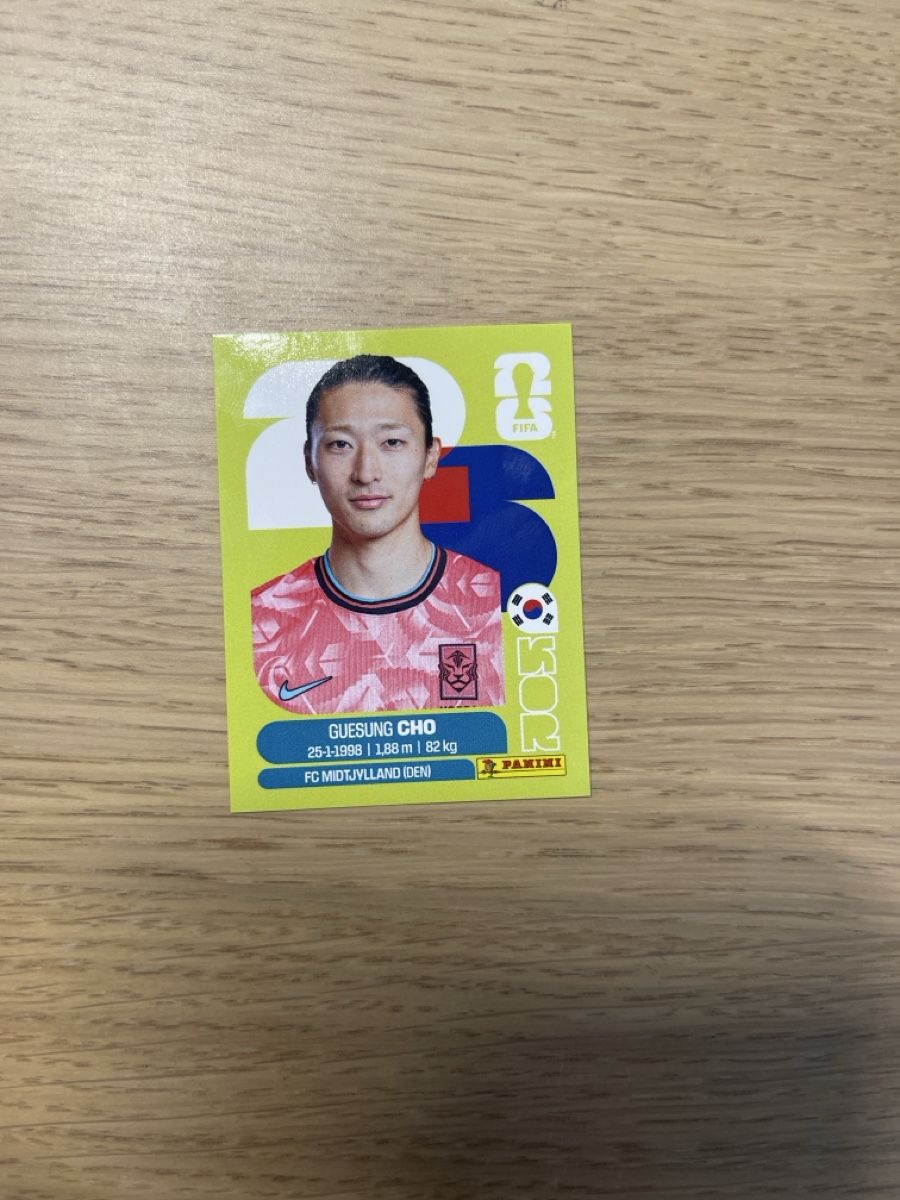 Aufkleber: Panini FIFA WC KOR 17  – Neu (gemäss Beschreibung) aus Lausanne 26 von mar_2ldv