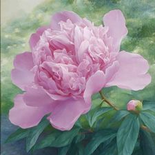 Profile image of Rose_Pham