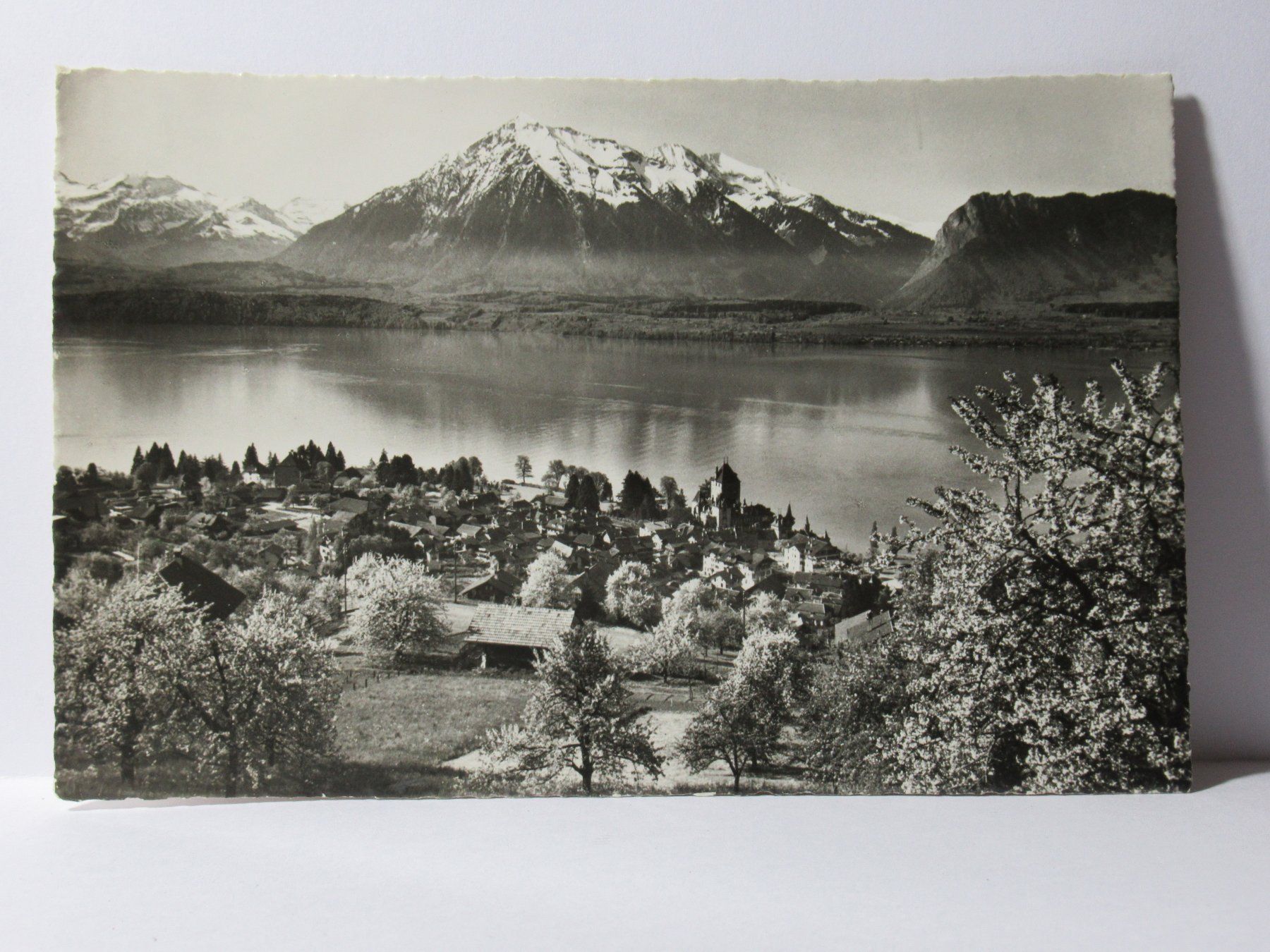 Cartoline postali: Oberhofen am Thunersee 1954 – Usato da Grenchen venduto da Bluemchen1900