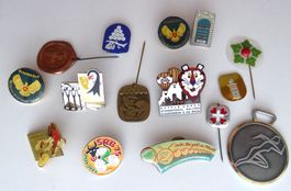 Diverse Abzeichen und Pins