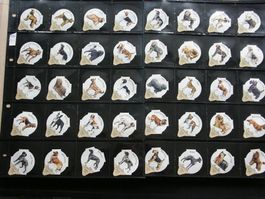 Serie    7588         Hunde                  Steg