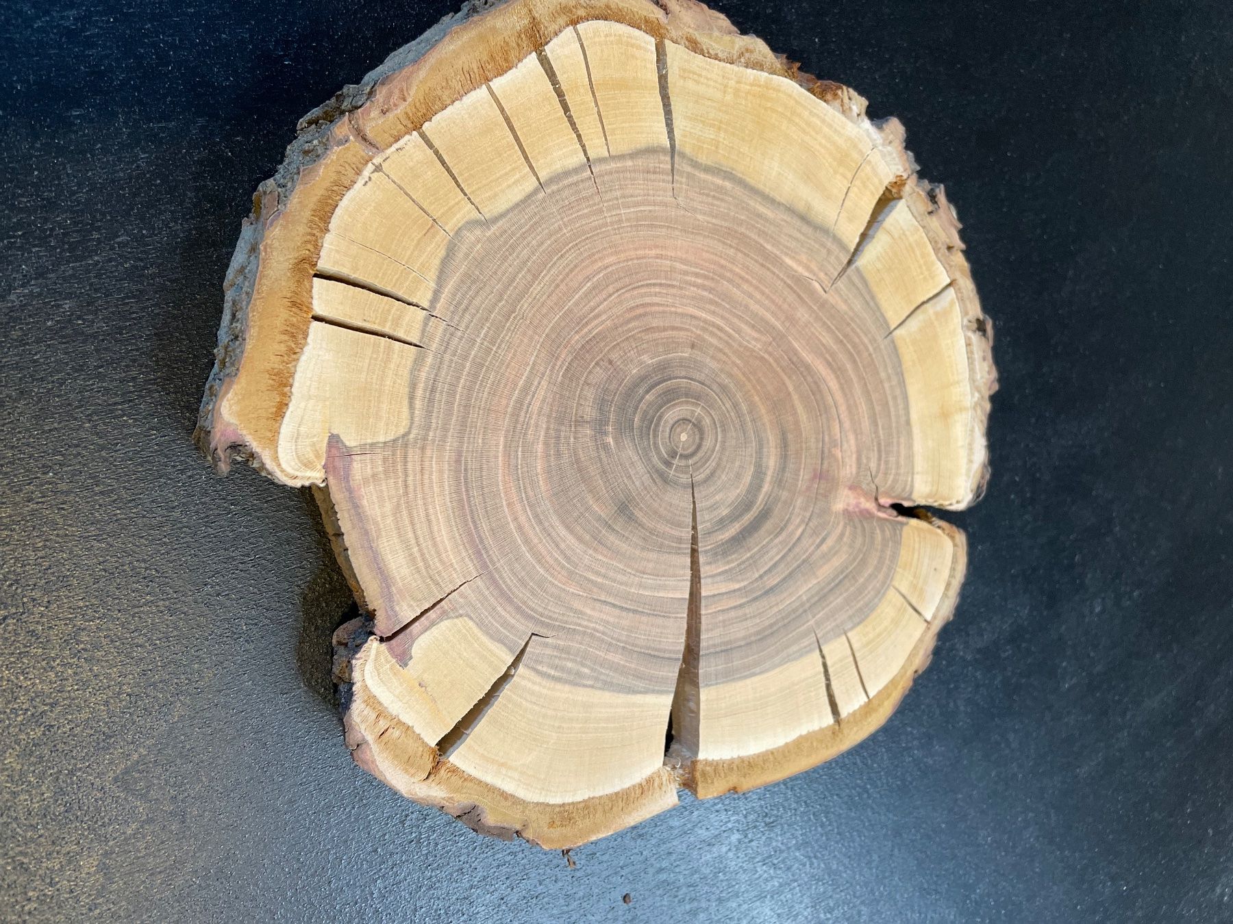 Holzartikel: Holzscheibe – Gebraucht aus Brunnen von Holz-style