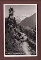 PIZ PALÜ und Bellavista - 1938