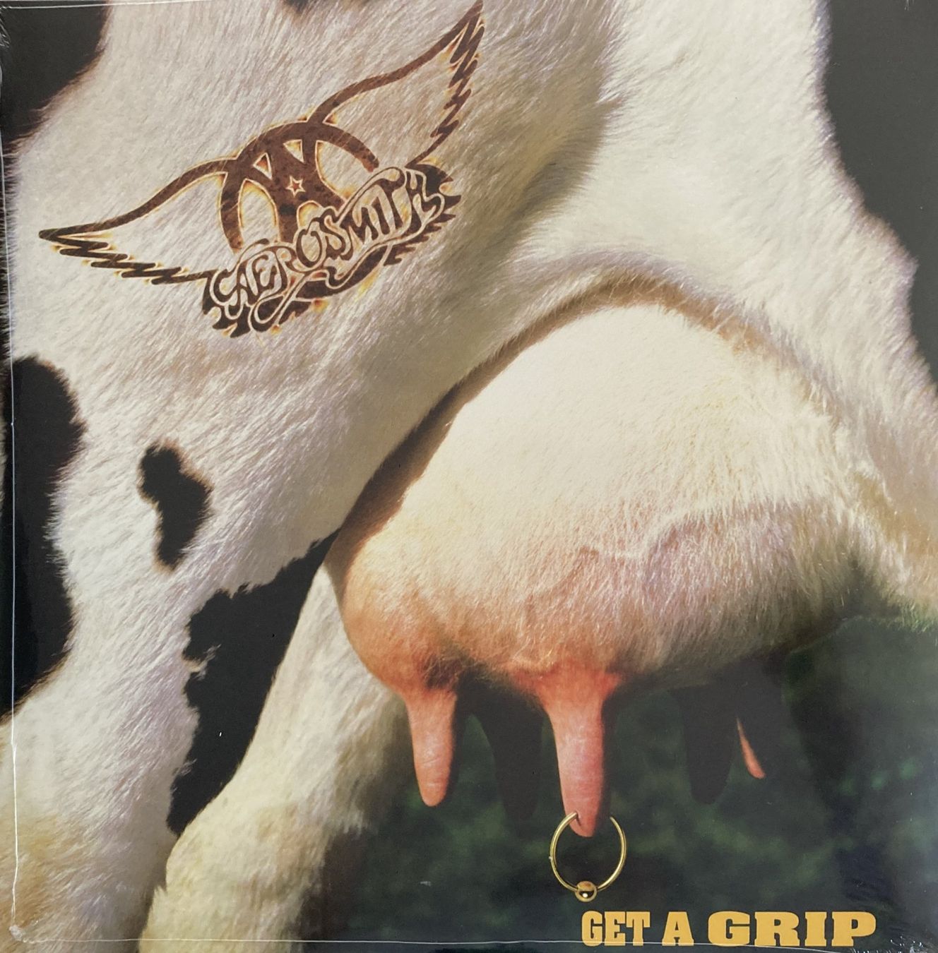 Vinyles: AEROSMITH - GET A GRIP – Neuf avec emballage d'origine à Bottens par hotter-than-hell