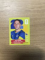 Panini FIFA WC BIH 7
