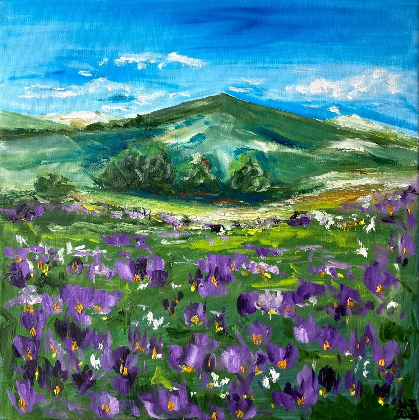 Dipinti: Berglandschaft mit Blumenwiese, Original Ölgemälde – Nuovo (secondo la descrizione) da Cham venduto da Felha 1
