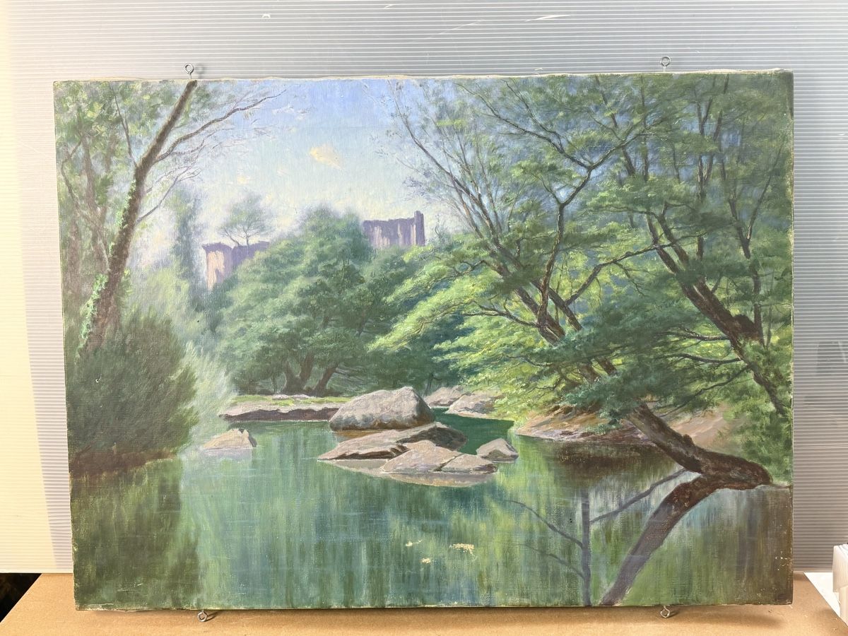 Dipinti: Ölgemälde 54x74.5cm – Usato da Solothurn venduto da NUVICO