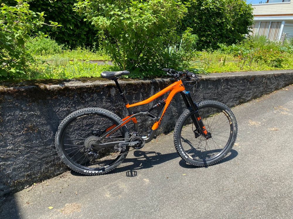 Cannondale trigger 3 deals 2019