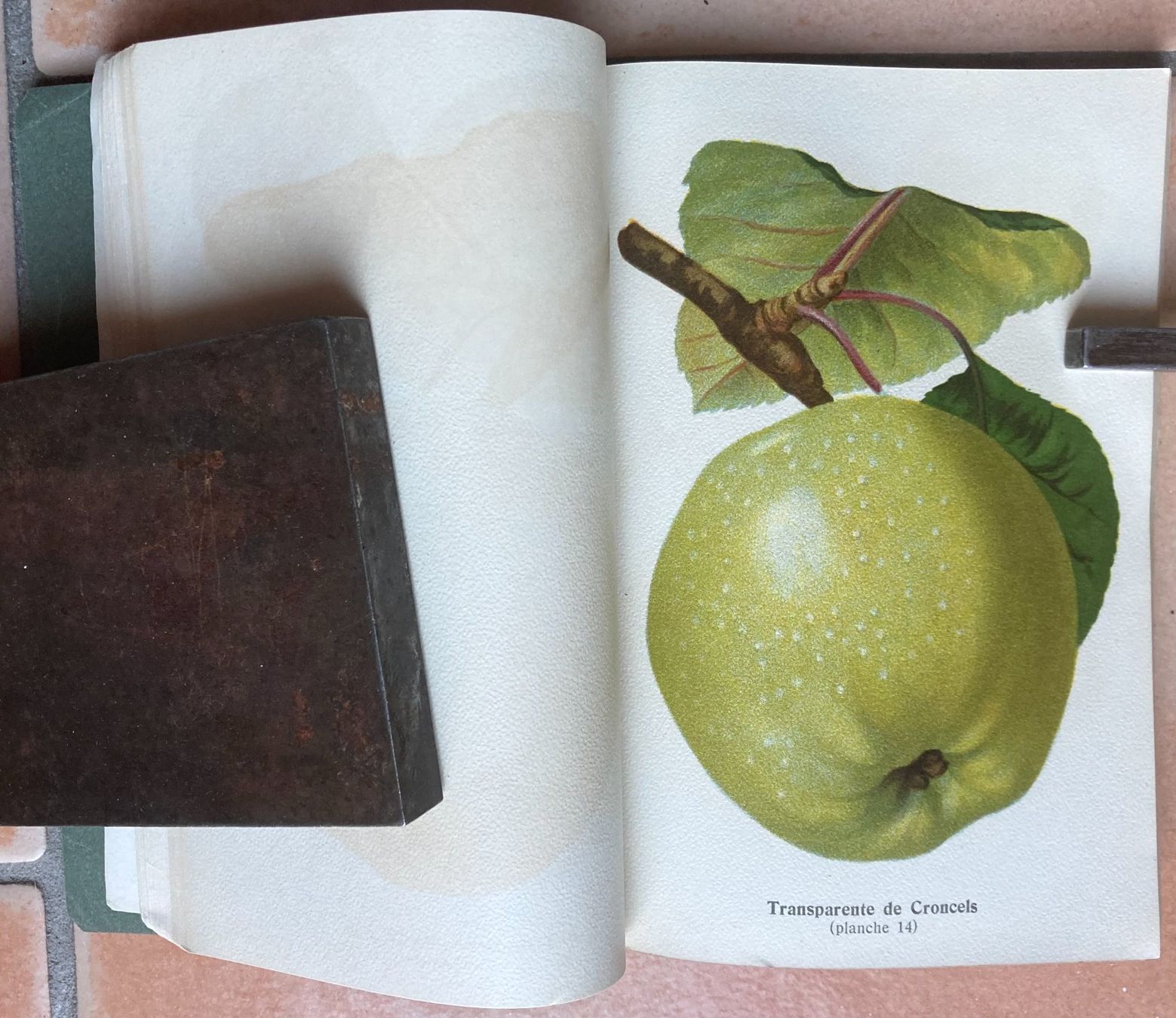 Bücher: Pomologie Romande Illustrée - 1916 – Gebraucht aus Versoix von HELVETICA_1 5