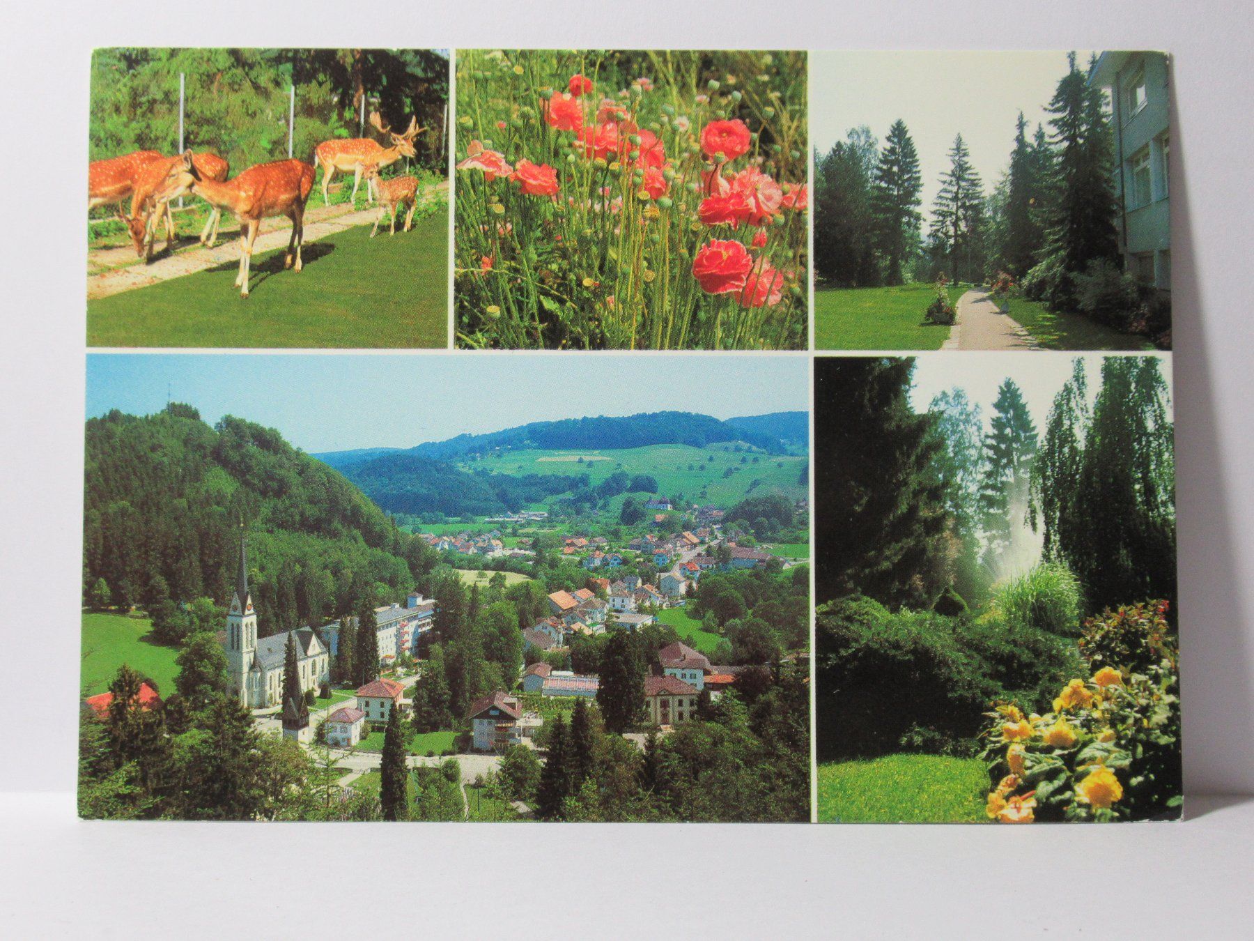 Cartoline postali: Dussnang , Kneipp - Kurhaus 1993 – Usato da Grenchen venduto da Bluemchen1900