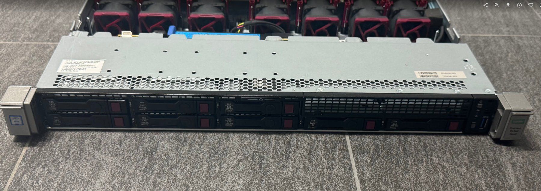 Collier et laisse: HP Proliant Server DL360 G9 – D'occasion à Dagmersellen par Purppetz 4