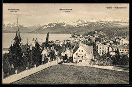 AK Wädenswil, Ortsansicht am See mit Kirche und Häusern
