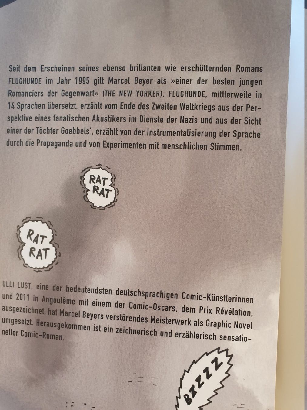 Bücher: Flughunde Lulli Lust Marcel Beyer Suhrkamp – Gebraucht aus Zürich von loosebone 1