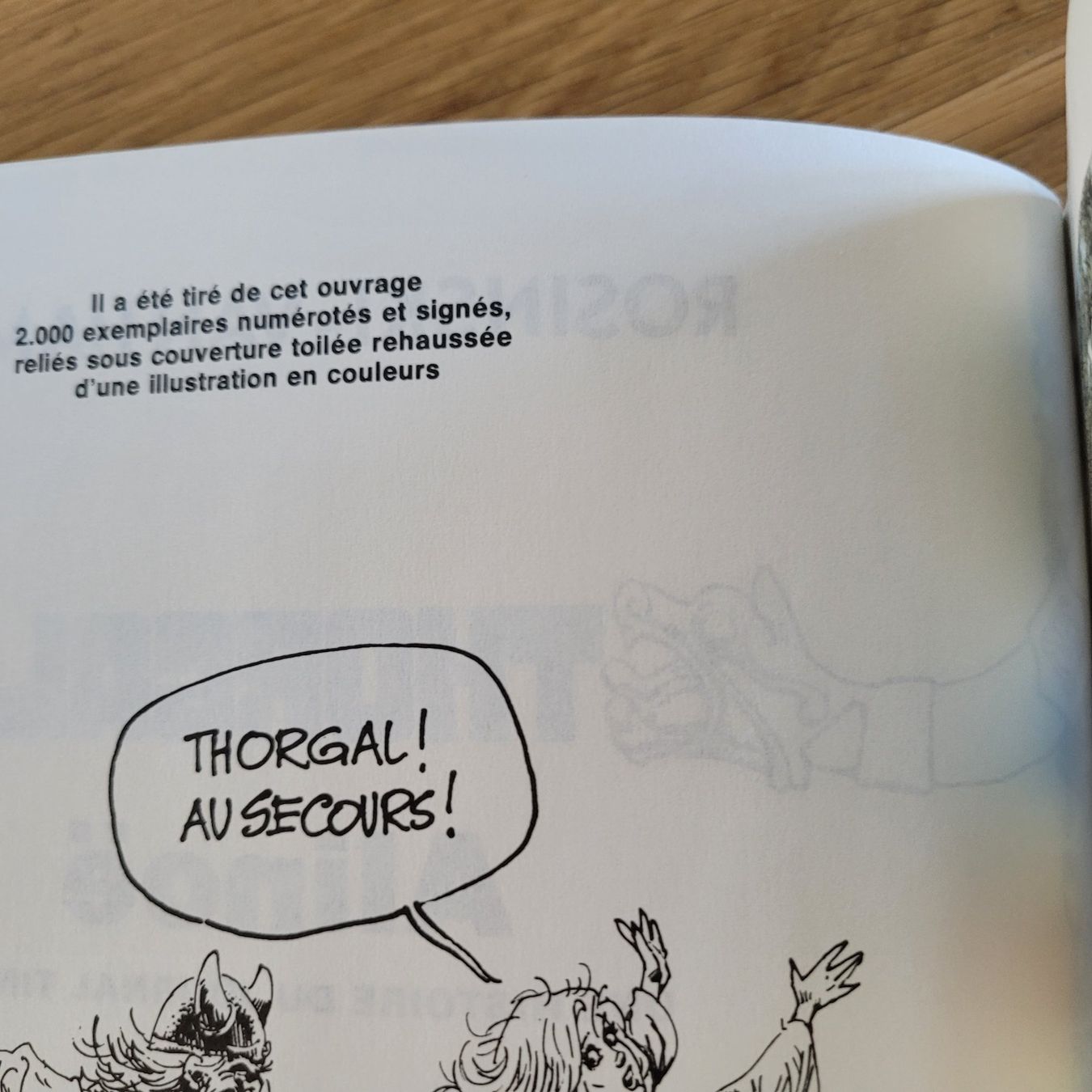 Fumetti: BD EO Cotée Thorgal 8. Alinoë – Usato da Biel/Bienne venduto da Destockweb 4