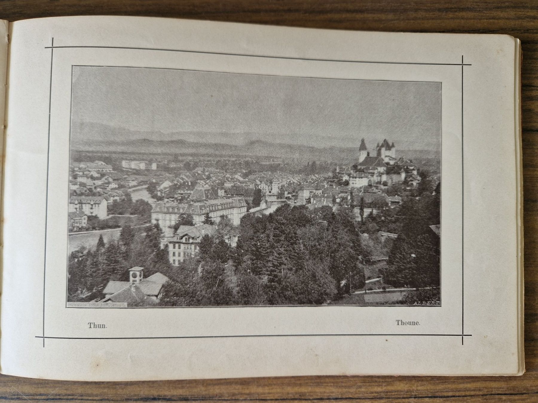 Cartoline postali: antikes Album Eidgenossenschaft 1891 – Usato da Mörschwil venduto da aik_x8mc 7