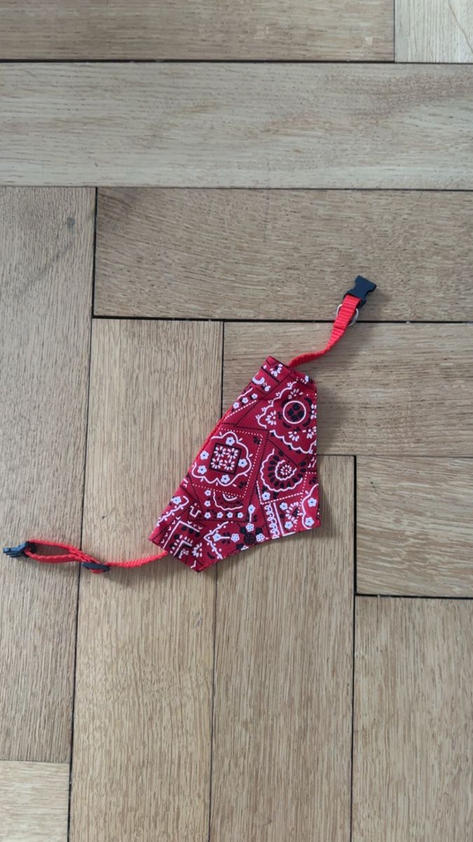 Leine & Halsband: Dog Collar / Bandana – Gebraucht aus Otelfingen von mar_sy7r