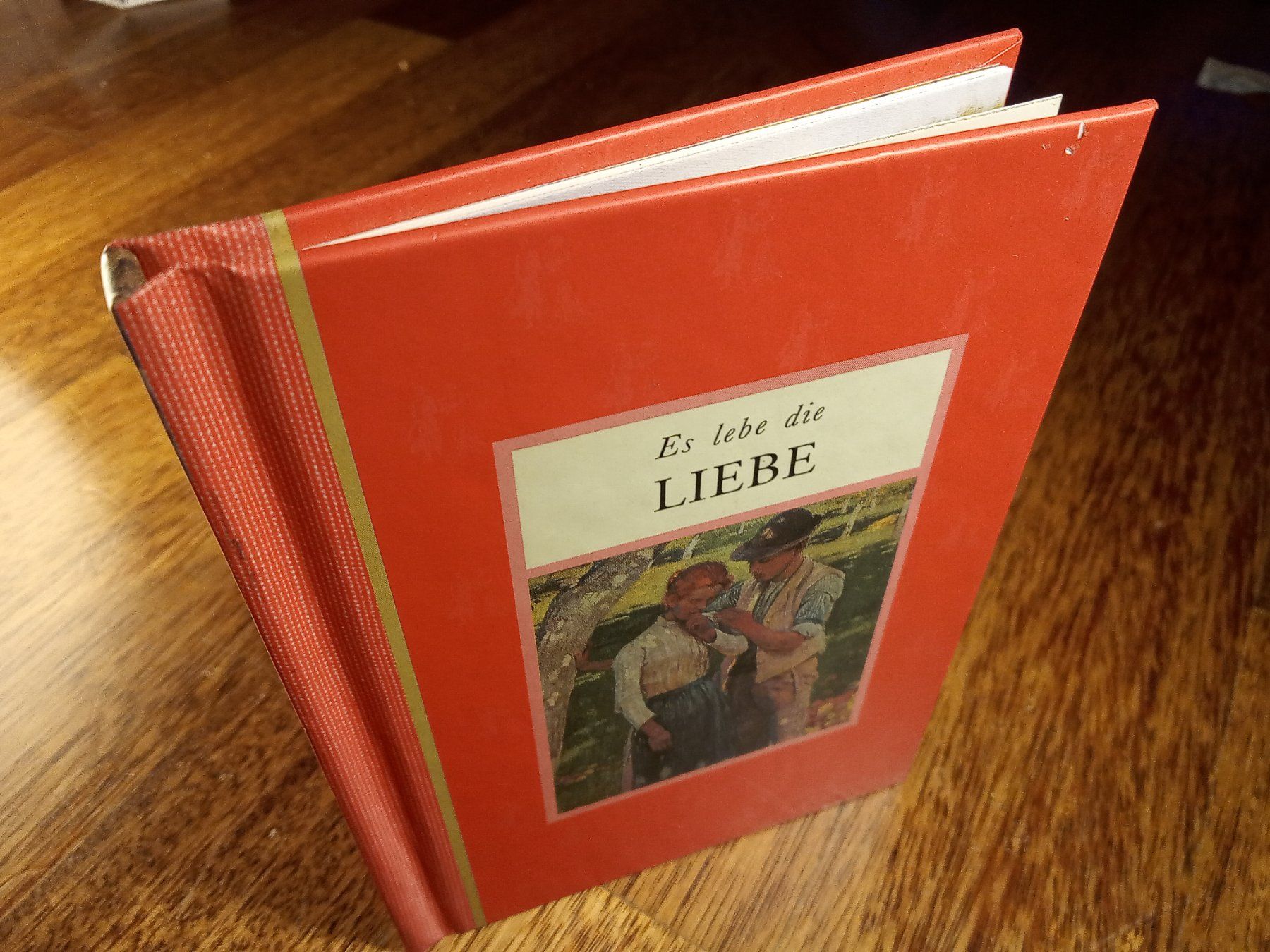 Bücher: Buch: Es lebe die Liebe – Gebraucht aus Büren SO von swelch 3