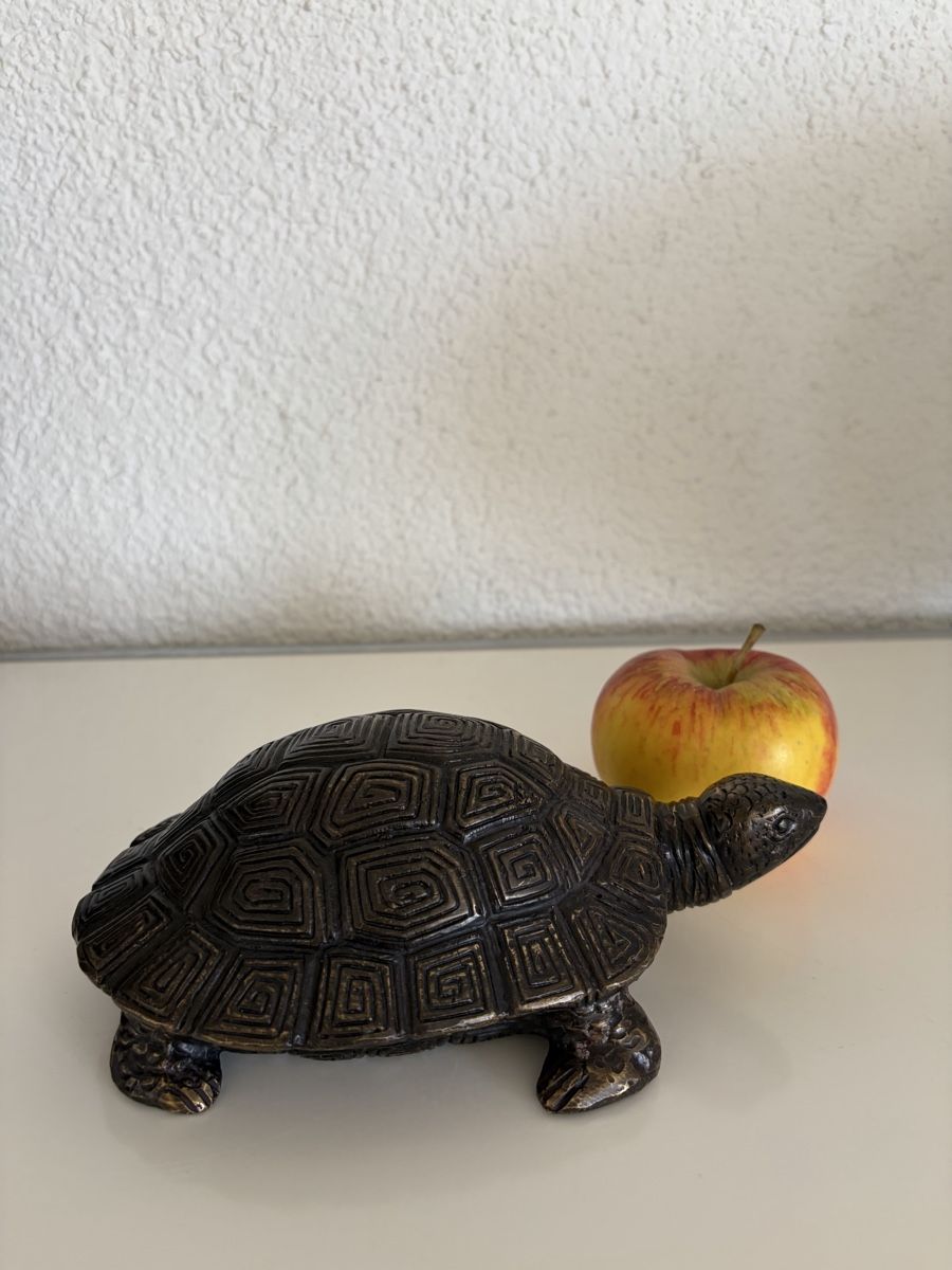 Sculture & Statue: Bronze, Schildkröte detailliert – Nuovo (secondo la descrizione) da Zürich venduto da eileenchen1