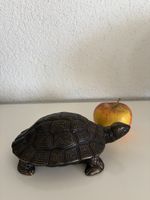 Bronze, Schildkröte detailliert