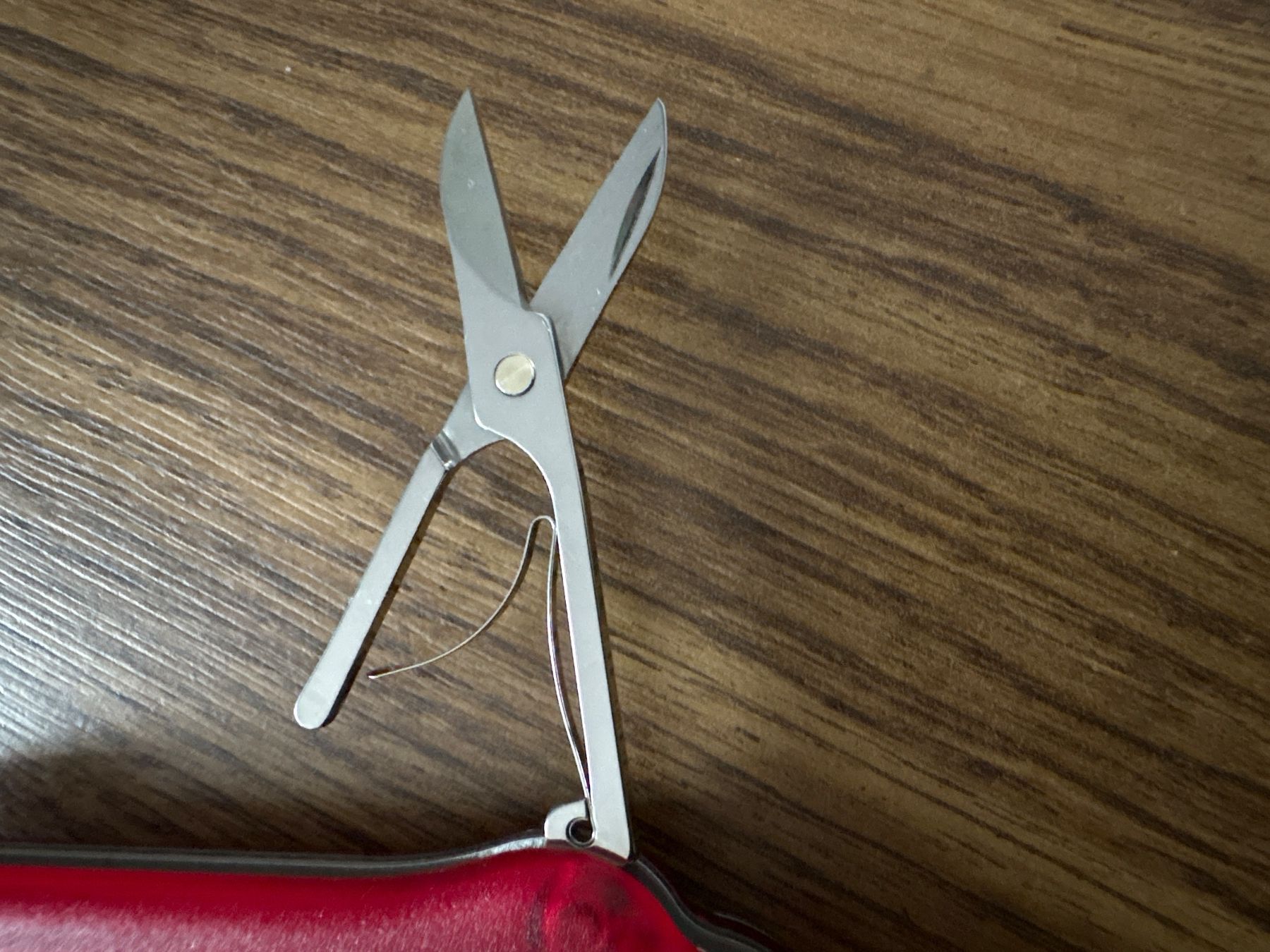 Victorinox Coltelli tascabile: VICTORINOX - Golf Tool red trans - Sackmesser - 0.7052.T – Nuovo e nell'imballaggio originale da Andwil SG venduto da Rainboli 5