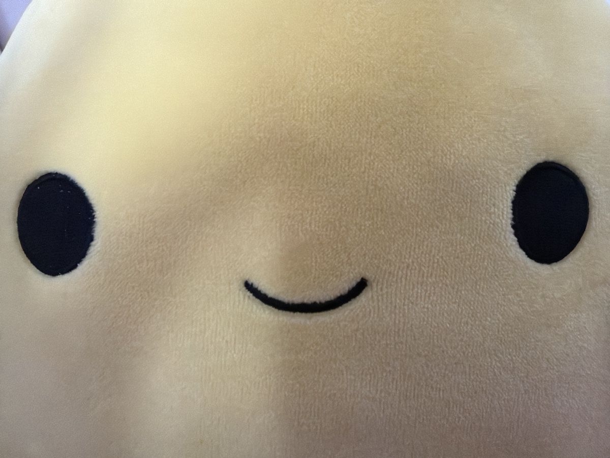Squishmallows Giocattoli: Süsses Squishmallow Stofftier - Gewaschen! – Usato da Fällanden venduto da Melinazh 2