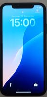 Smartphone Apple iPhone Xr schwarz gebraucht