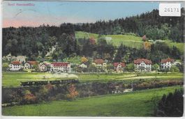 Asyl Remismühle mit Dampfzug - Litho