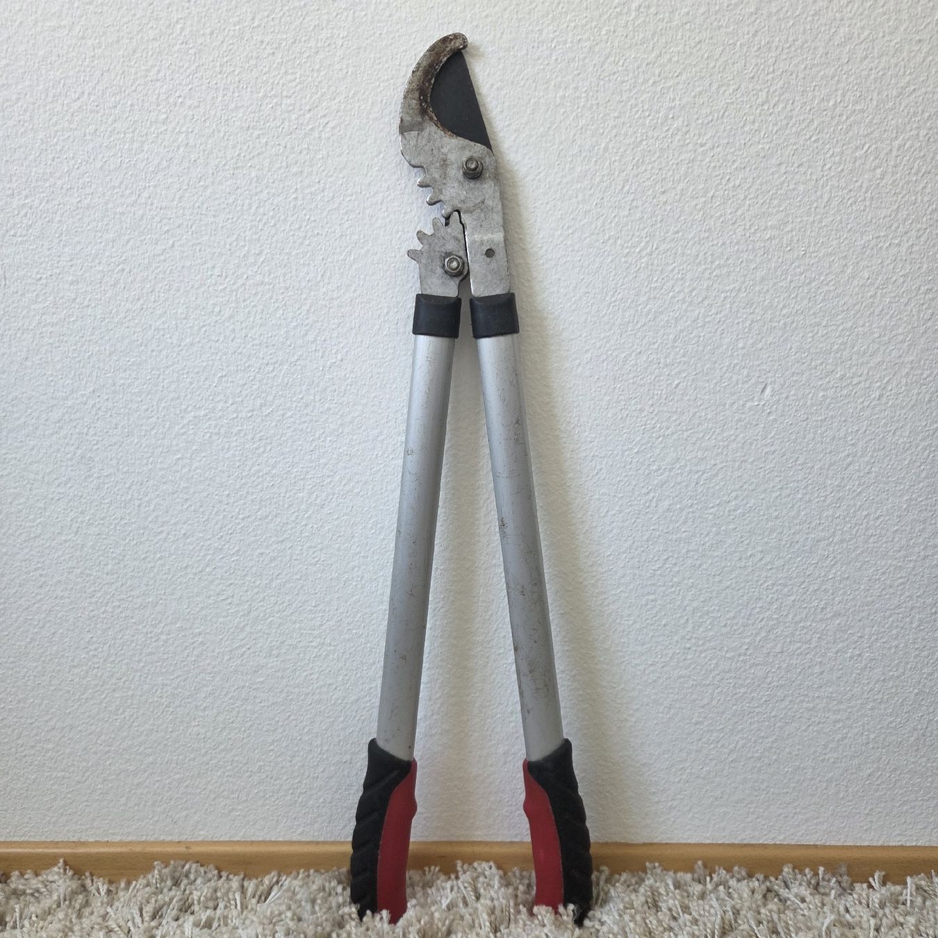 Tous les outils: Astschere – D'occasion à St.Gallen par Its.eli035 1