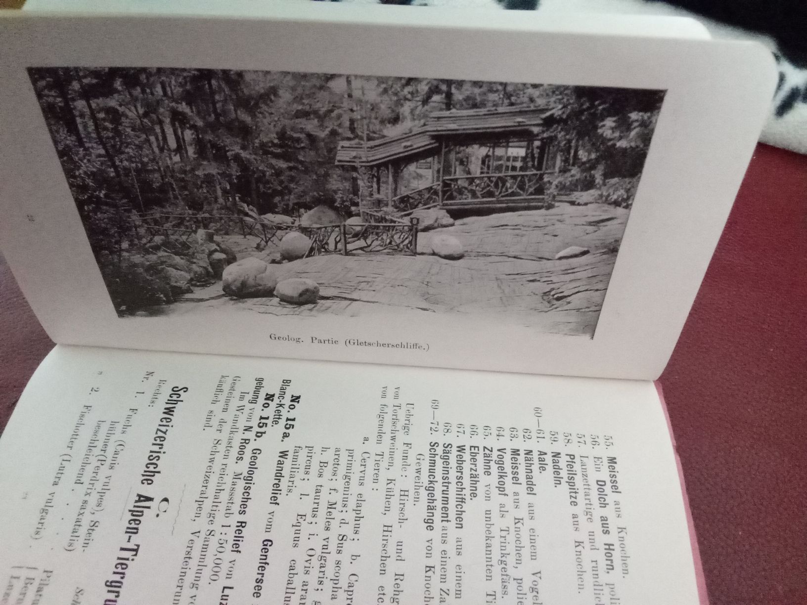 Libri: DER GLETSCHER-GARTEN LUZERN UM 1910 – Usato da Muri BE venduto da Alk 1