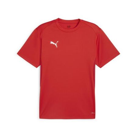 Puma teamGOAL Jersey - puma red (Grösse: L)