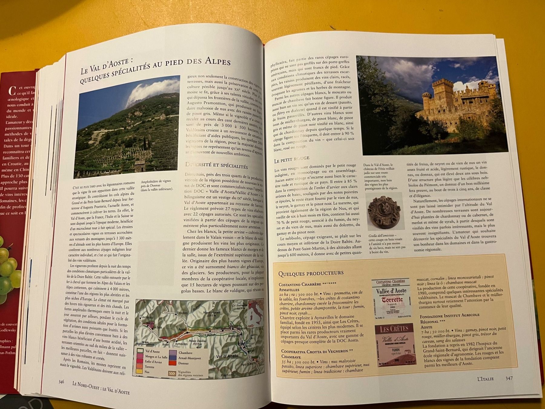 Libri: LE VIN  André Dominé – Usato da Biel-Bienne venduto da Doriskoloris 9
